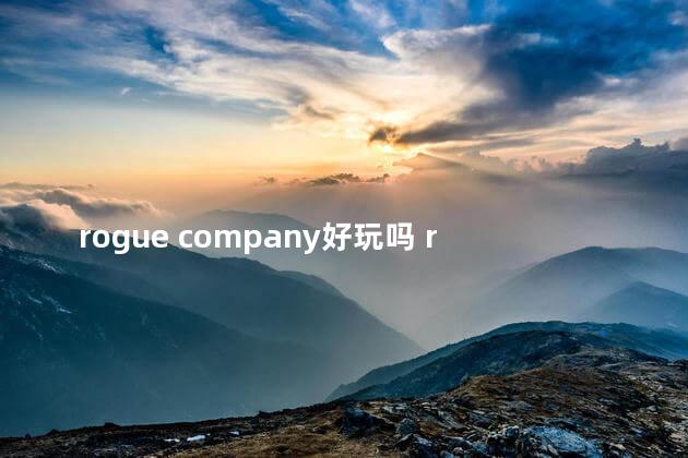 rogue company好玩吗 roguecompany1000018808